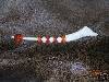 Rob Balaam Turkey Call Maker